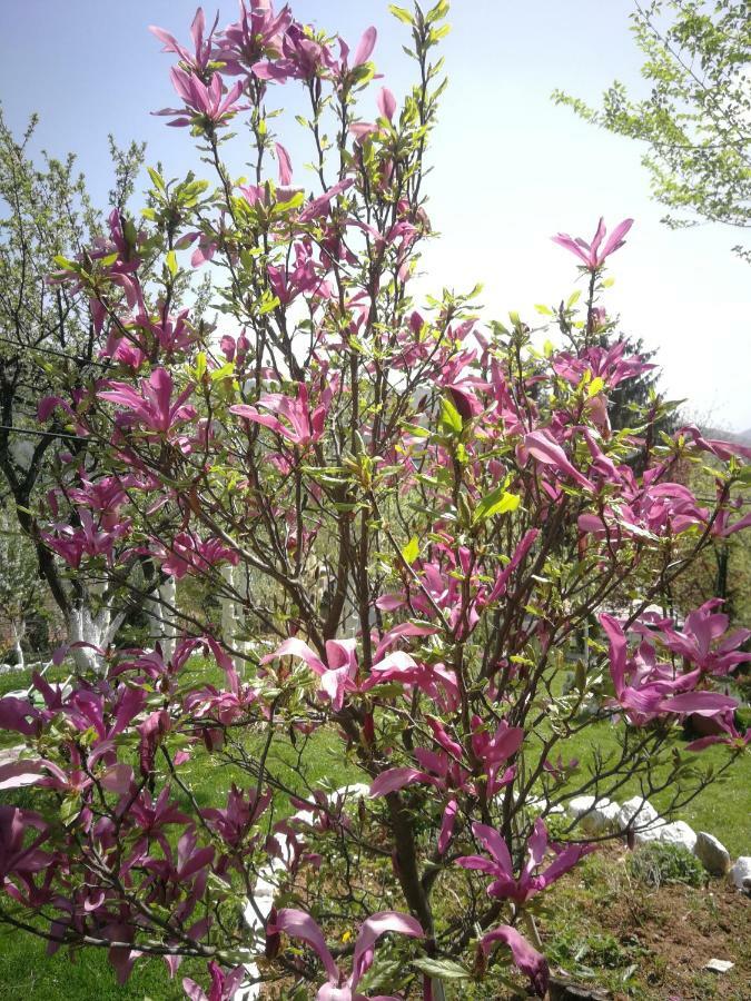 Paradise Garden Sarajevo Ngoại thất bức ảnh