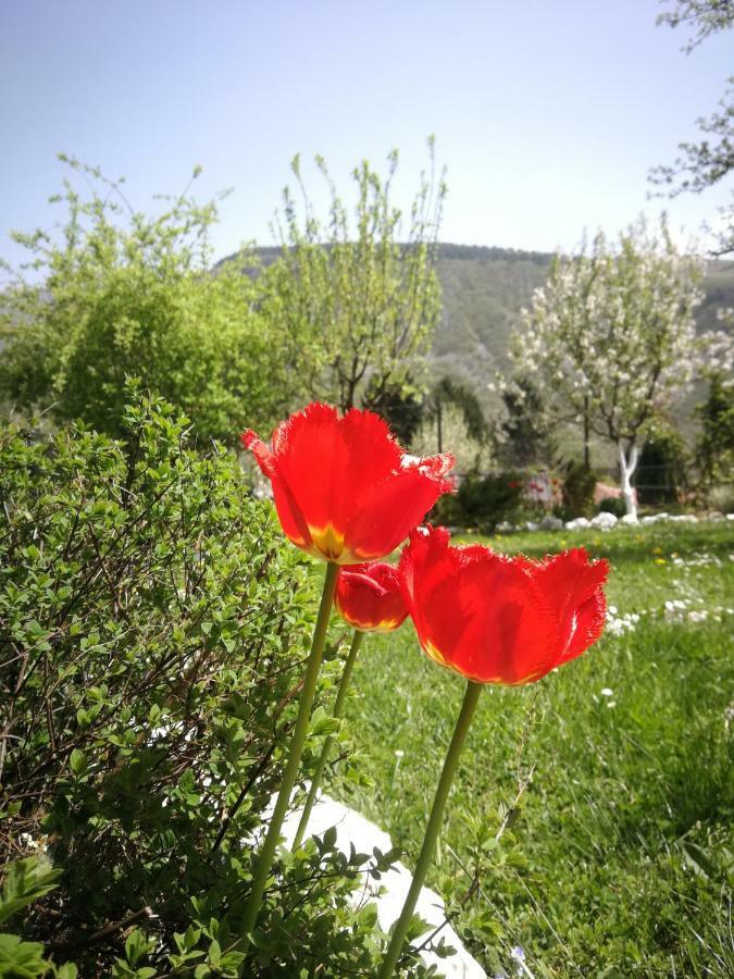 Paradise Garden Sarajevo Ngoại thất bức ảnh